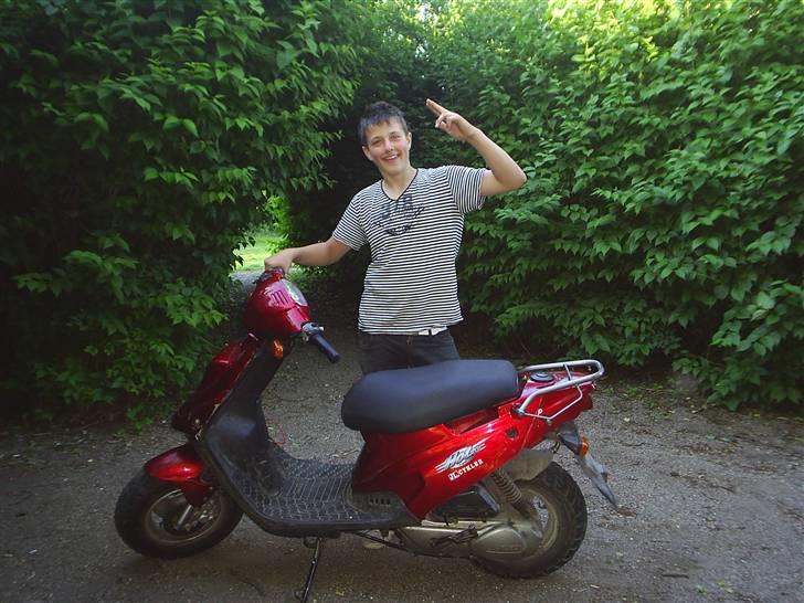 PGO hot 50 billede 8