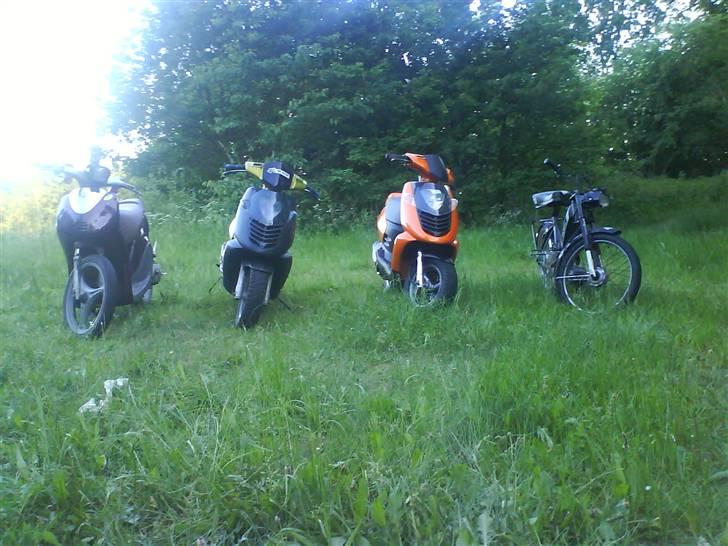 Aprilia Sonic billede 10