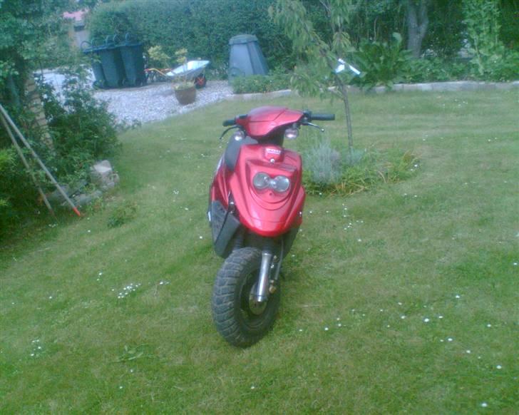 PGO Hot 50 - Solgt - billede 1