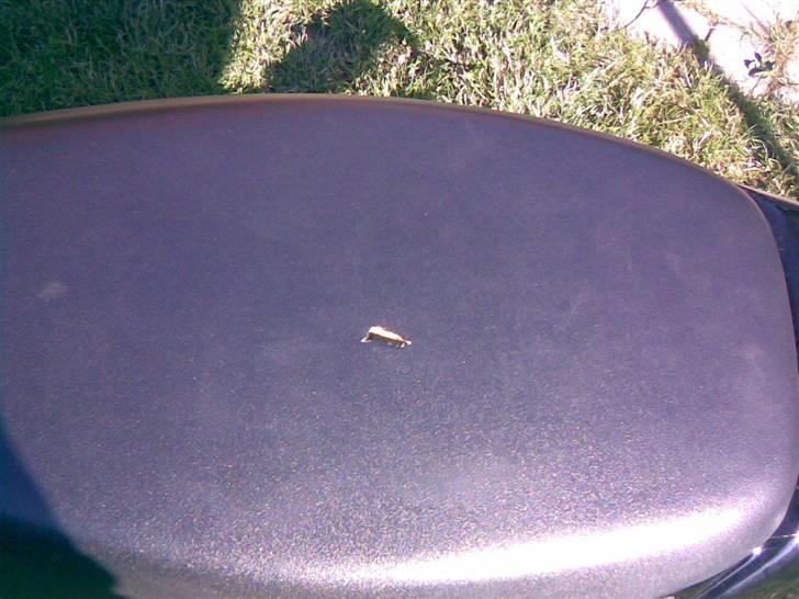 Aprilia Sonic **STJÅLET** - hul i sædet fra gamle ejer :-/ billede 9