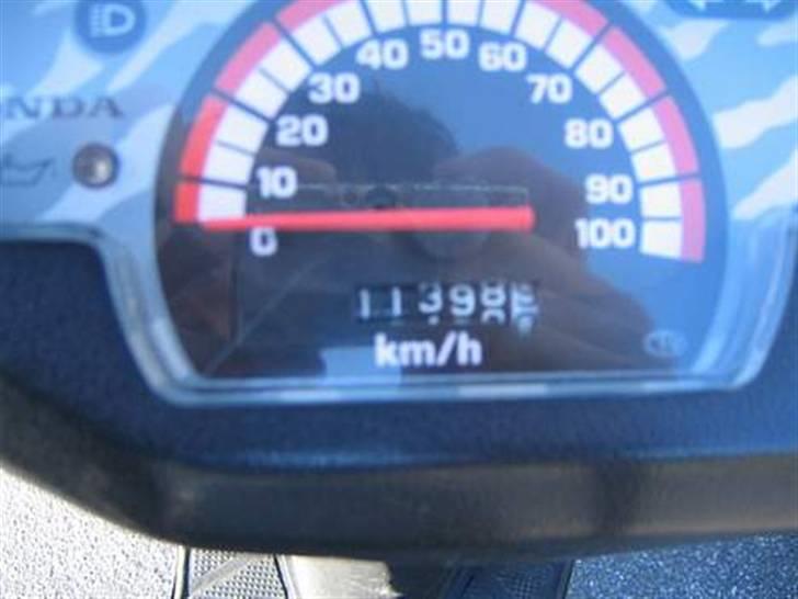 Honda SFX [SOLGT] billede 5