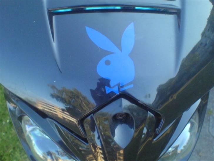 Suzuki street magic byttet - tanja billede 2