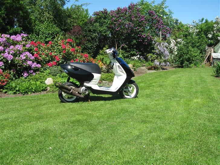 Aprilia Sonic - SOLGT billede 3