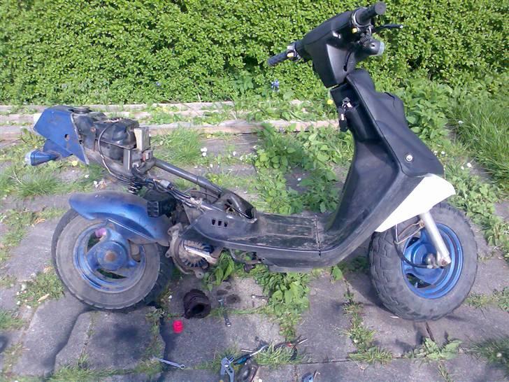 PGO Hot 50 Stil Solgt. billede 15