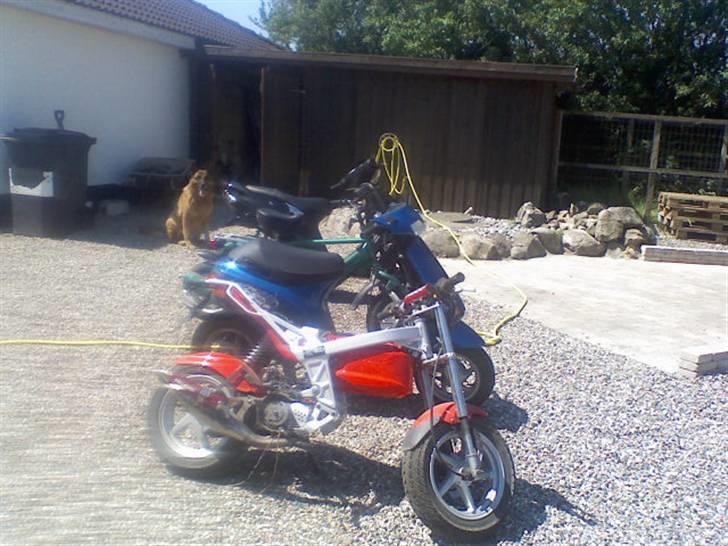 Piaggio NRG MC3 solgt - MINE dejlige scootere :D med min lille vovse :D billede 9