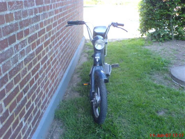 Piaggio Grillo billede 11