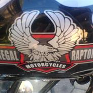 Regal Raptor - [SOLGT]