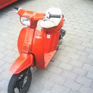 Honda melody mini nt 50 (SOLGT)