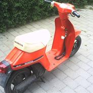 Honda melody mini nt 50 (SOLGT)