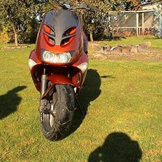 Aprilia Ditech - Solgt