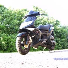 PGO G - Max (Solgt)