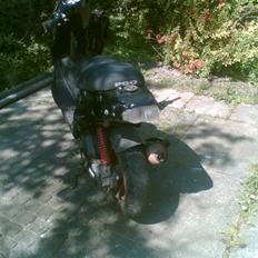 PGO Hot 50 (Stjålet)