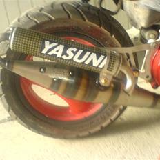 Yamaha neos((SOLGT))