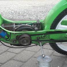 Vespa caio SOLGT