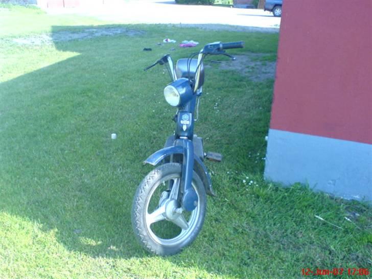 Piaggio Grillo billede 15