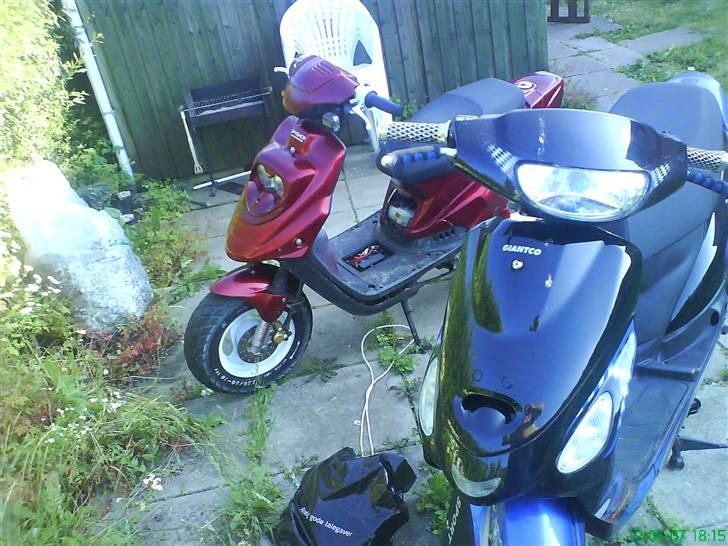 PGO hot 50 (Bytte til 4g) billede 12