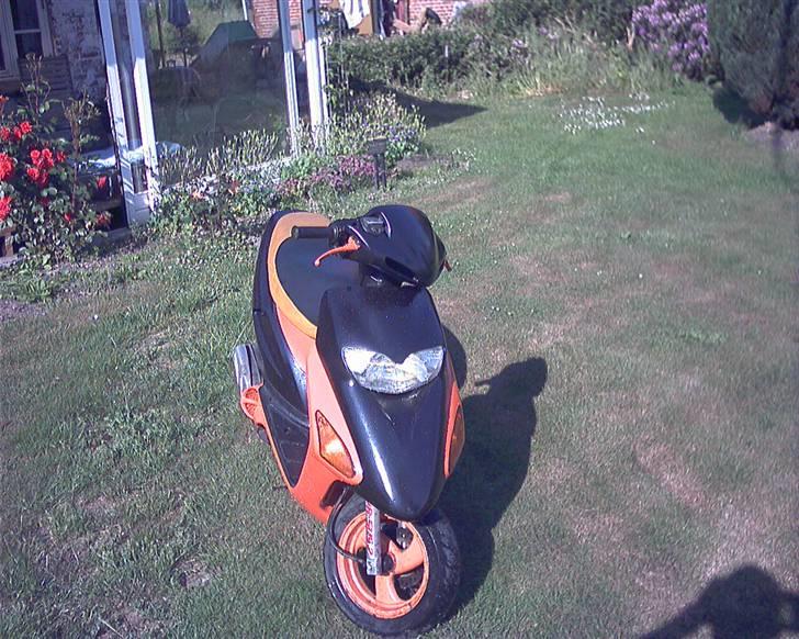 Honda SFX Repsol billede 7
