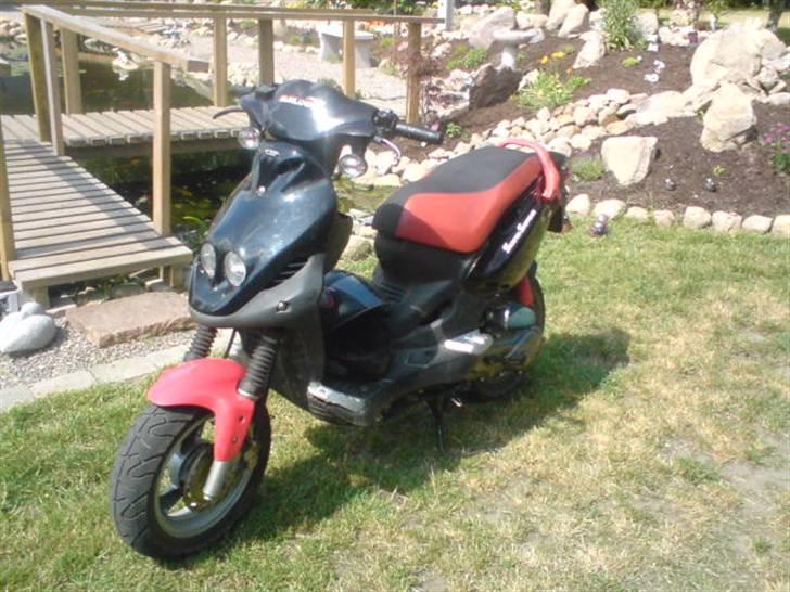 PGO pmx sport billede 1