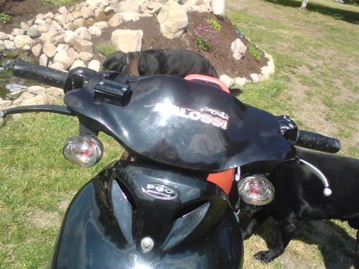 PGO pmx sport billede 5