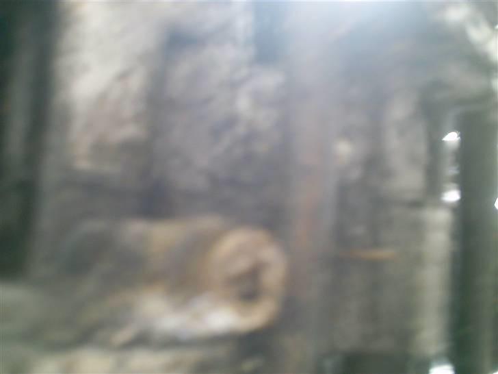 Yamaha 4 gear byttet billede 13