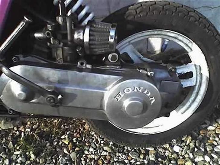 Honda melody byttet til dm50 billede 7