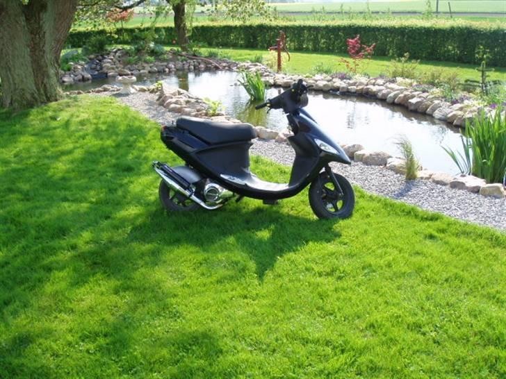 PGO Black Magic *SOLGT* - NYT! billede 4