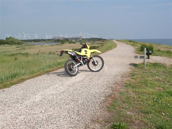 Suzuki RMX SOLGT - Har de sideskjolde som ikke er monteret :) billede 16