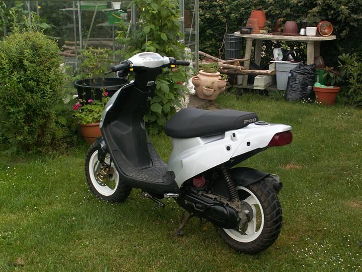 PGO Tornado billede 2