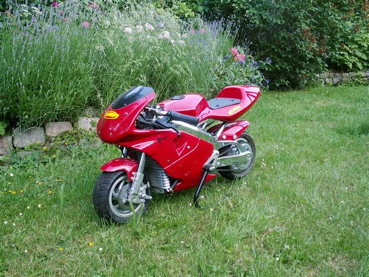 MiniBike Devils pocket bike 4000 billede 1