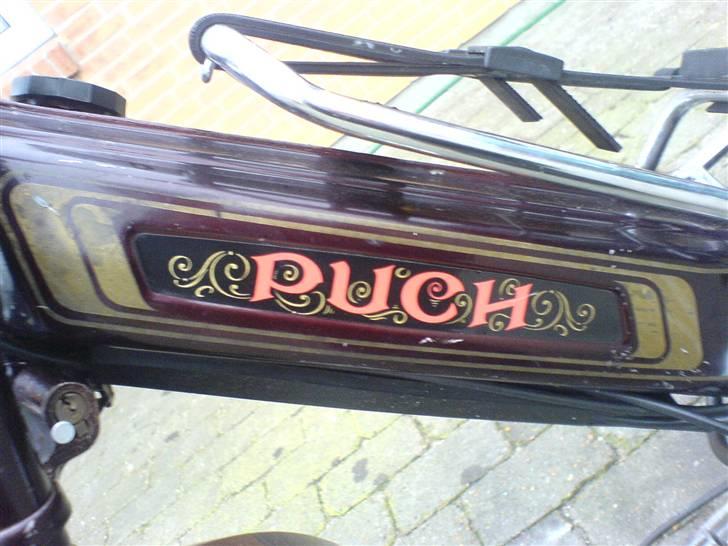 Puch Maxi 1-K Jubilæum billede 4