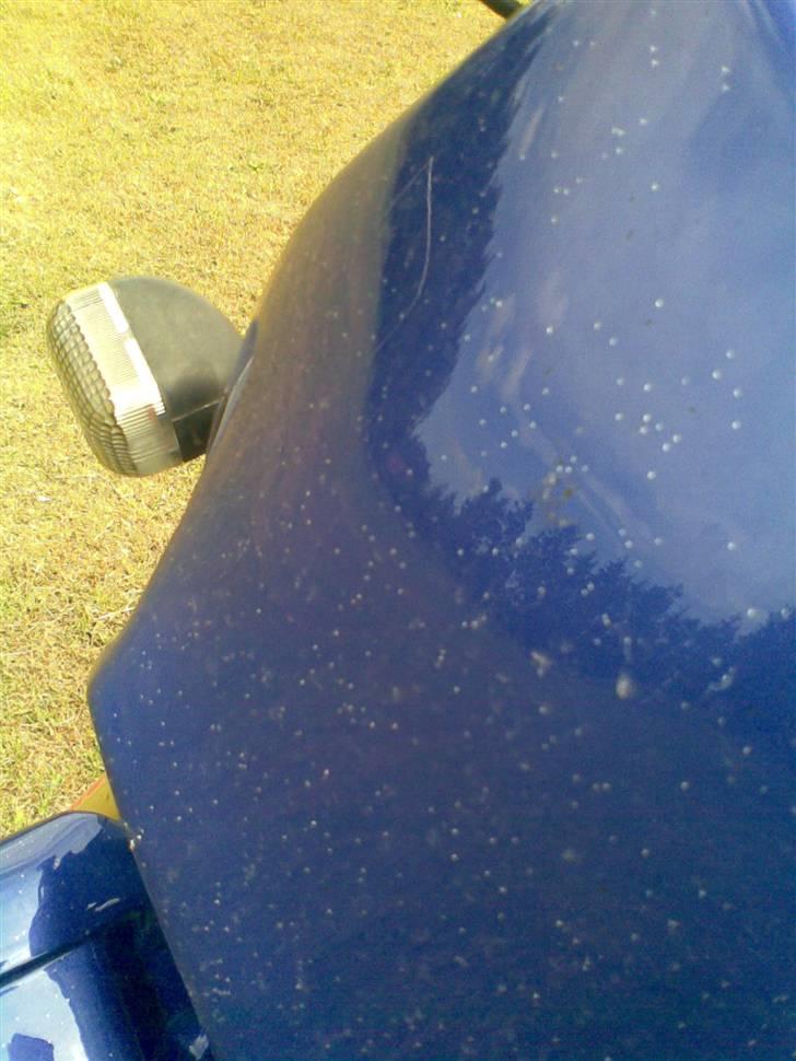 Suzuki SMX NYE BILLEDER billede 3