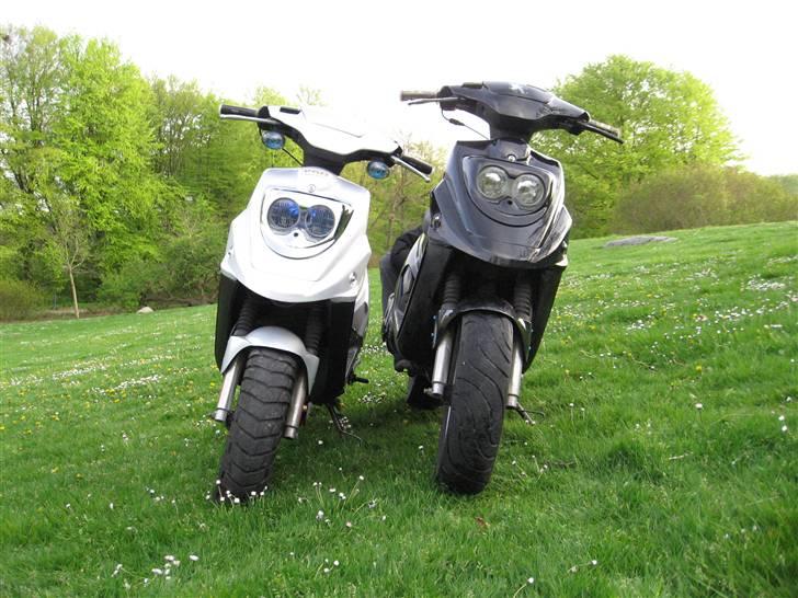 PGO Hot50 [TFR] billede 3