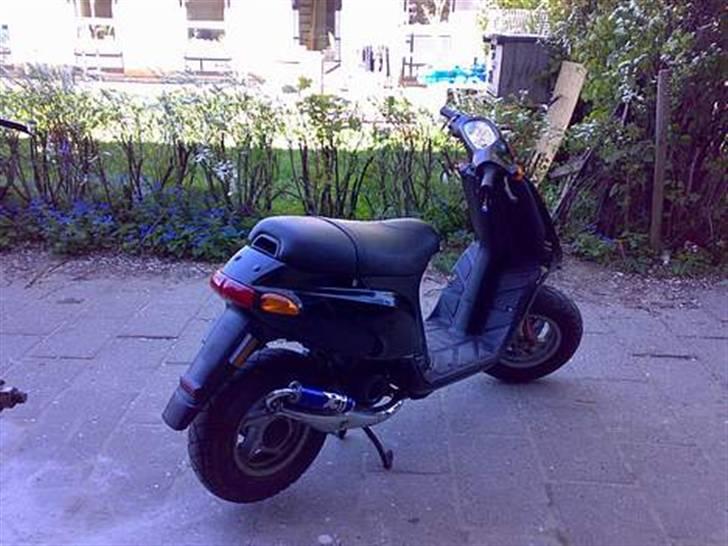 Piaggio typhoon (byttet væk) billede 5