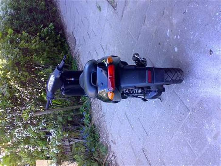 Piaggio typhoon (byttet væk) billede 6