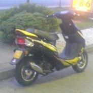 Giantco sport nye billeder 