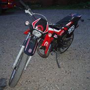 Gilera SMT - The wild thing