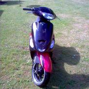 Giantco Sprint Sport