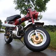 Honda Dax st50