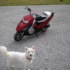 Honda SFX Efter - SOLGT !!