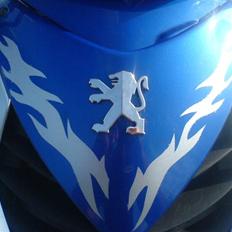 Peugeot speedfight2 * SOLGT*