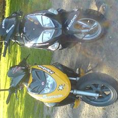 PGO Dr.Big Sort ( projektet )