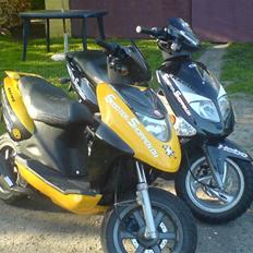 PGO Dr.Big Sort ( projektet )