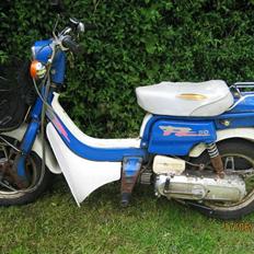 Suzuki Fz 50 ( SOLGT )