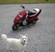 Honda SFX Efter - SOLGT !!
