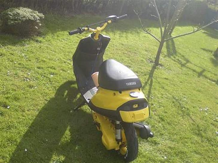 Yamaha team-100meter humle ! Jeg billede 2