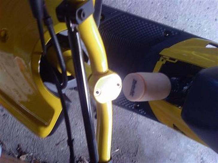 Yamaha team-100meter humle ! Jeg billede 6