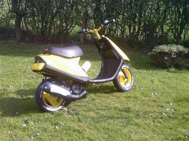 Yamaha team-100meter humle ! Jeg billede 11