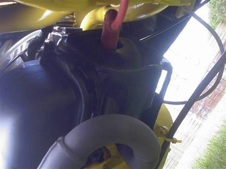 Yamaha team-100meter humle ! Jeg billede 13