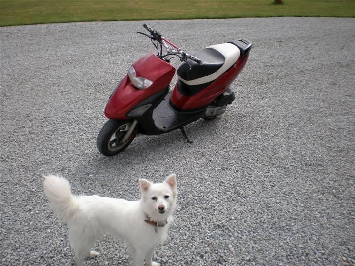 Honda SFX Efter - SOLGT !! billede 1