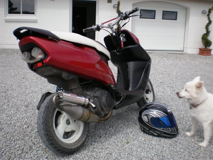 Honda SFX Efter - SOLGT !! billede 4